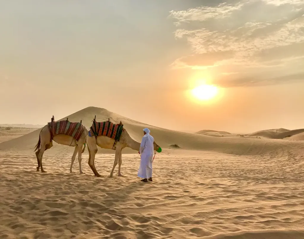 VIP Camel Ride