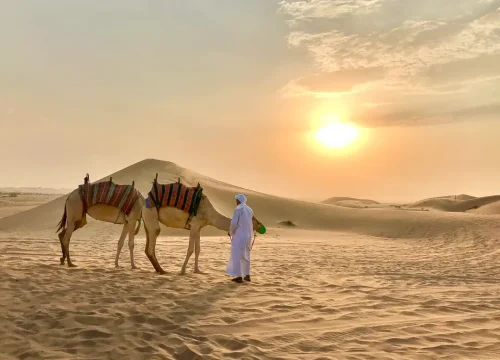 VIP Camel Ride