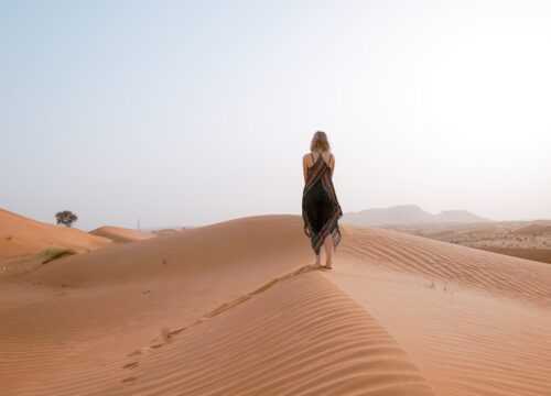 Vip Desert Activities in Dubai