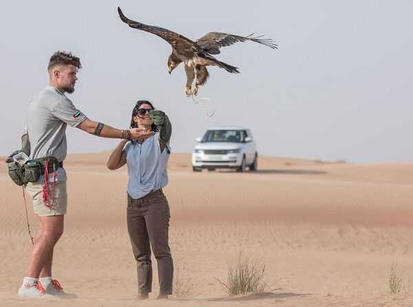 Picture with Falcon and Desert Safari