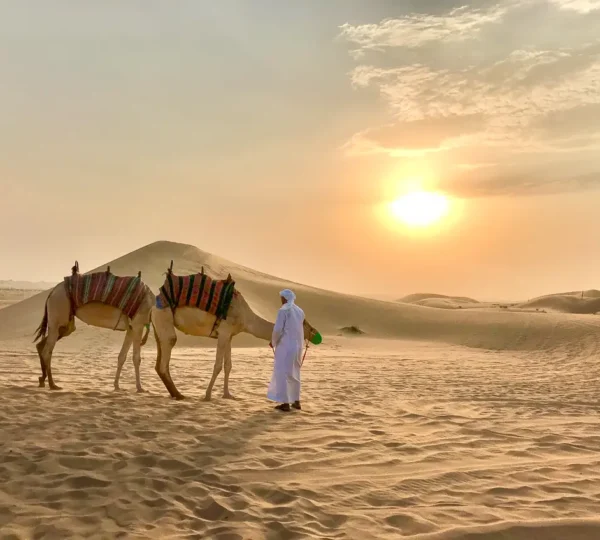 Camel Ride in Dubai Desert