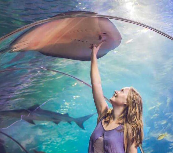 Dubai Aquarium and Burj Khalifa Tour