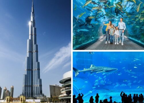Dubai Aquarium and Burj Khalifa Tickets & Tours