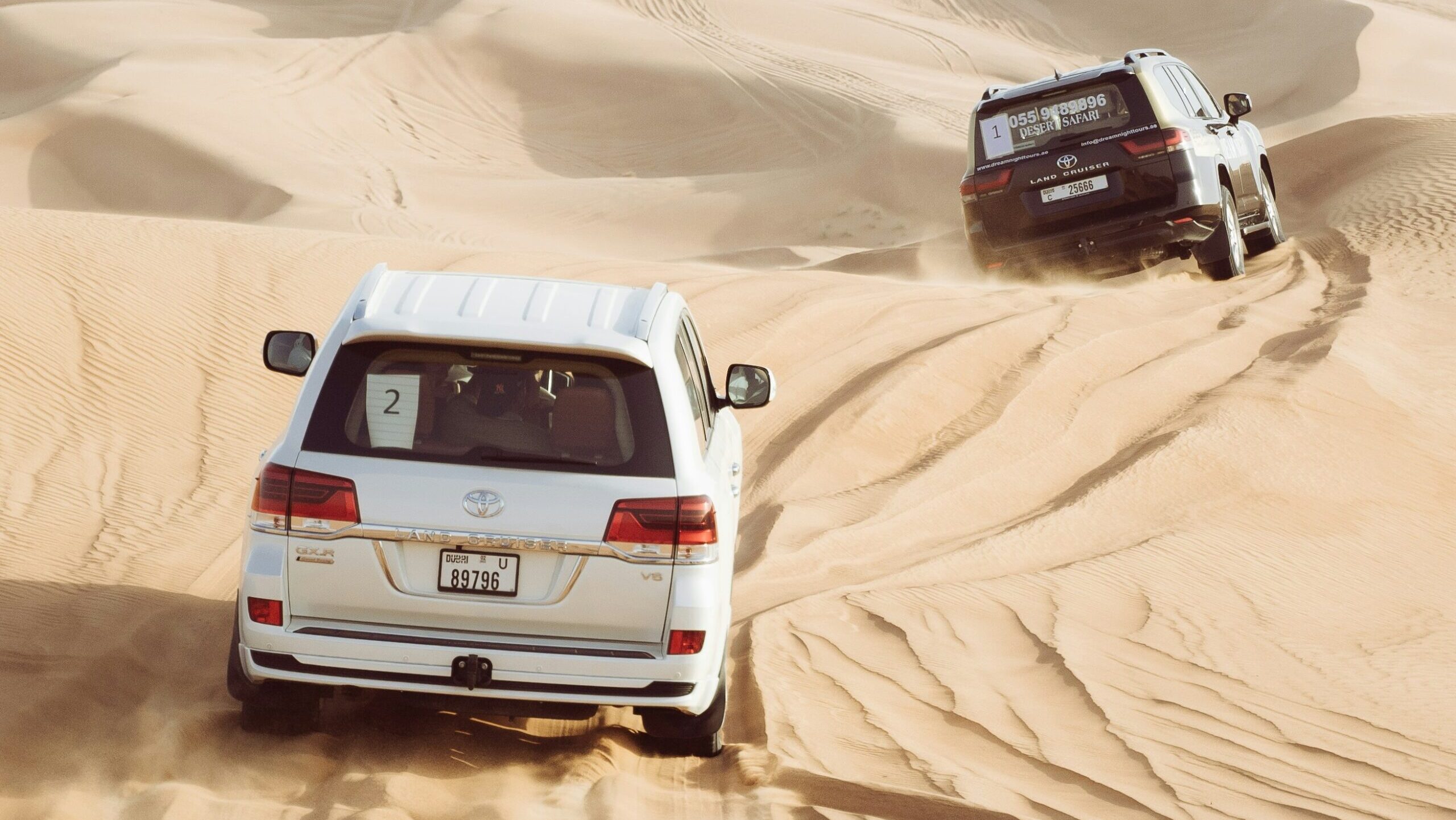 VIP Private Desert Safari