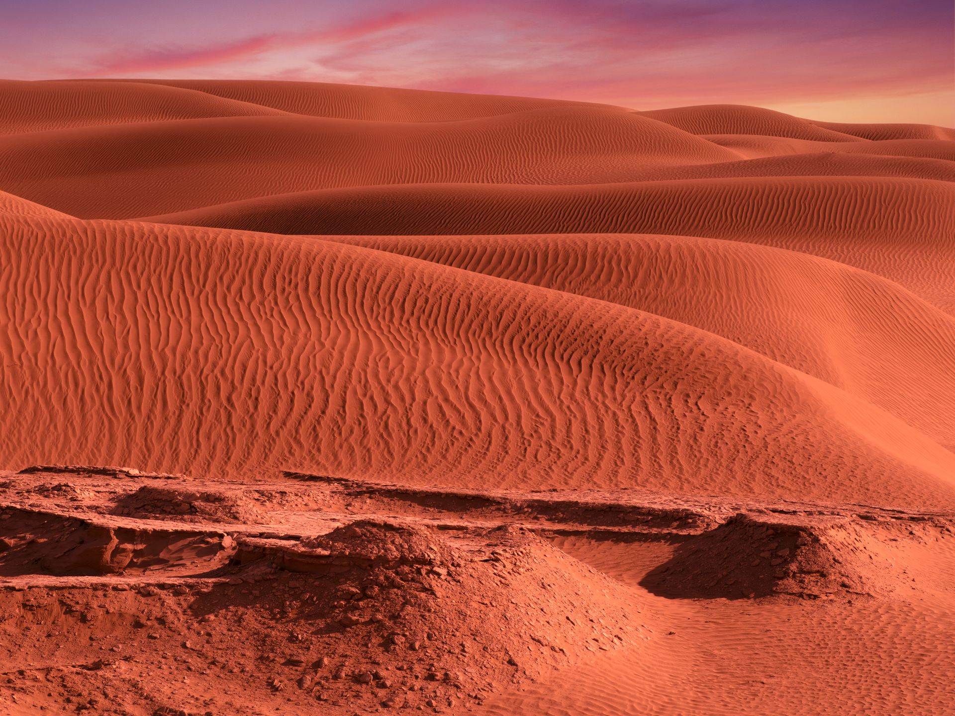Red Dune Evening Desert Safari