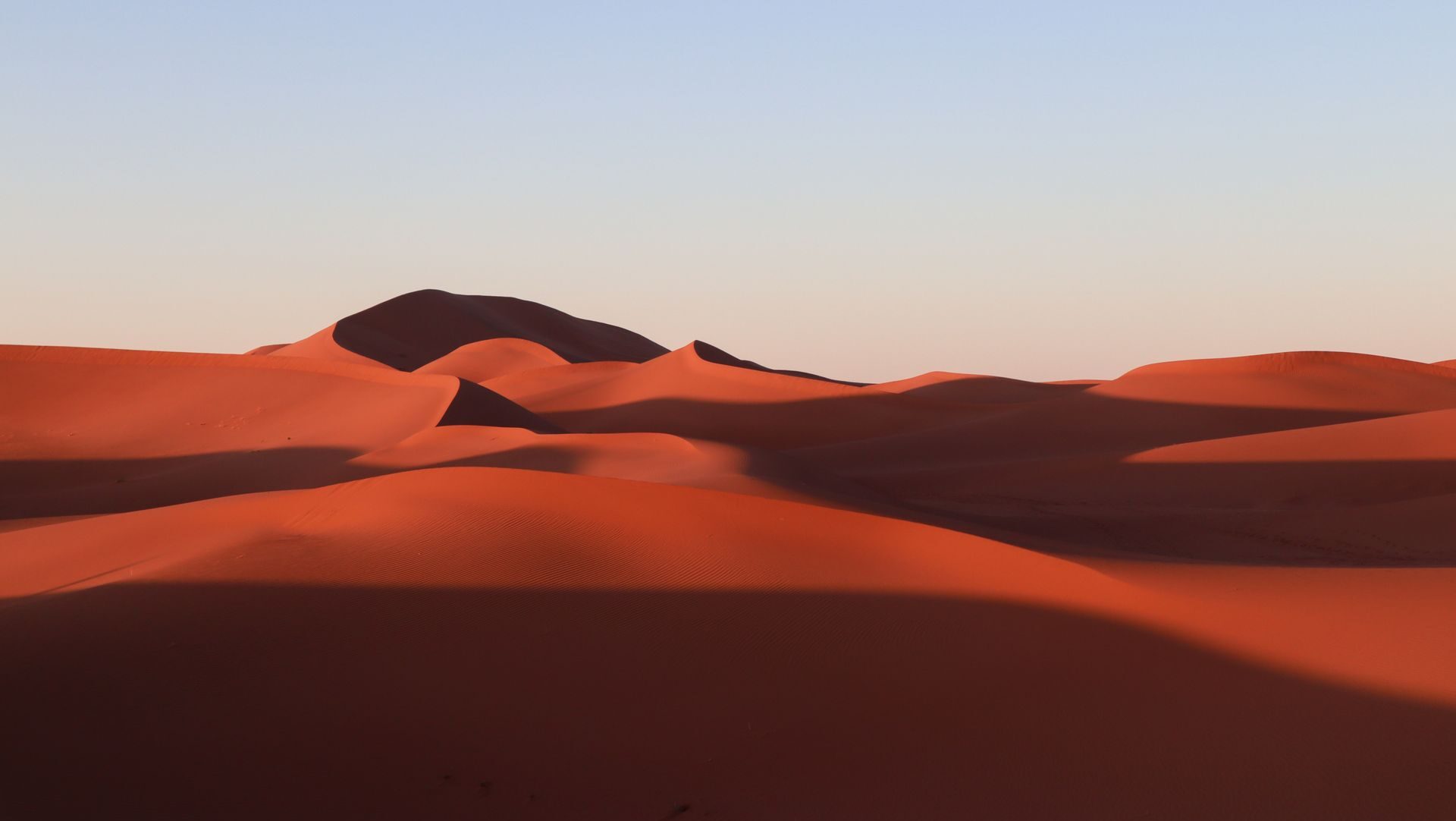 Red Dune Morning Desert Safari